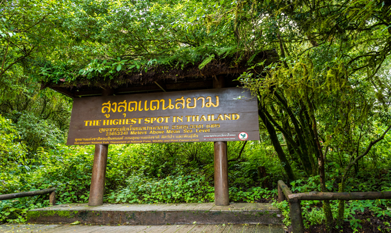 制高點 The Summit of Doi Inthanon